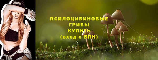 apvp Нязепетровск