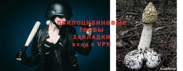 spice Тихвин
