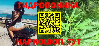 прущие грибы Абакан