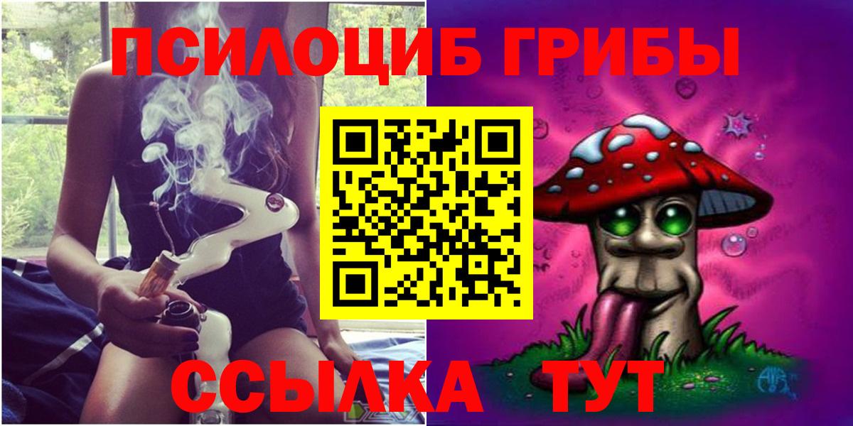 Галлюциногенные грибы Psilocybe  Обнинск 