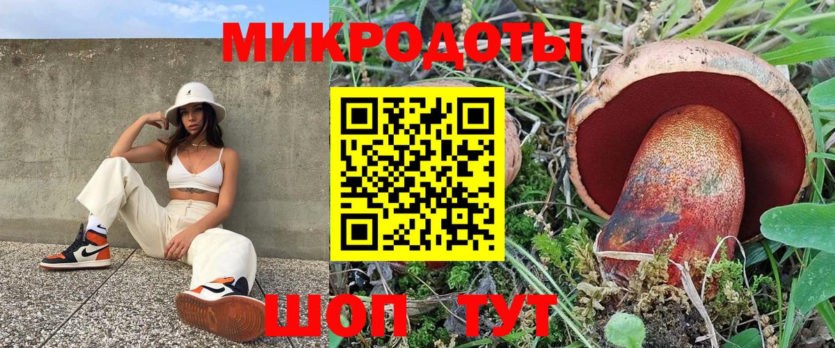 Псилоцибиновые грибы мицелий Обнинск