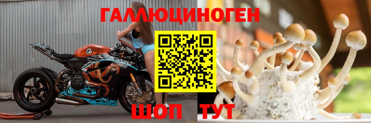 Галлюциногенные грибы ЛСД Обнинск